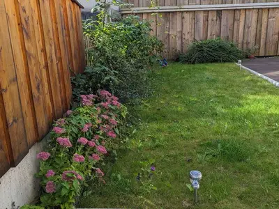 Ferienwohnung für 4 Personen (45 m²) in Garmisch-Partenkirchen 7/10