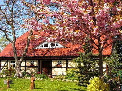 Ferienwohnung für 6 Personen (75 m²) in Garz (Rügen) 7/10