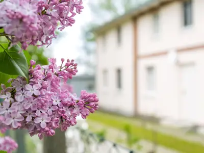 Ferienwohnung für 2 Personen (30 m²) in Garz (Rügen) 9/10