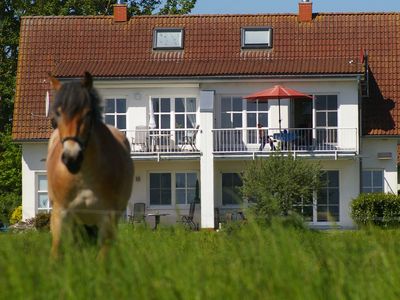 Ferienwohnung für 4 Personen (55 m²) in Garz (Rügen) 8/10