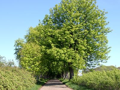 Landschaft