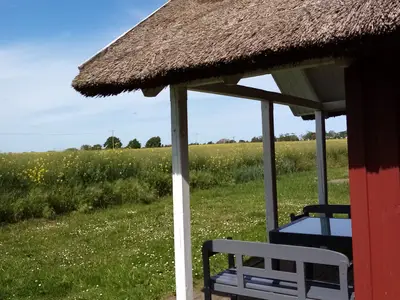 Ferienwohnung für 6 Personen (110 m²) in Garz (Rügen) 2/10