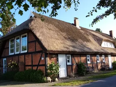 Ferienwohnung für 6 Personen (110 m²) in Garz (Rügen) 4/10