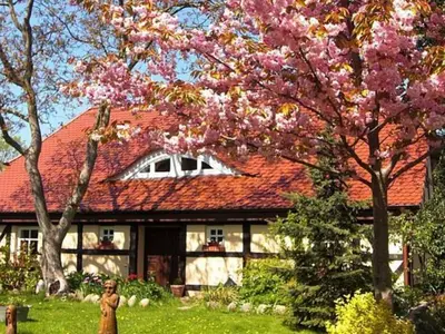 Ferienwohnung für 6 Personen (80 m²) in Groß Schoritz 8/10