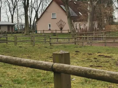 Ferienwohnung für 4 Personen (65 m²) in Garz (Rügen) 2/10