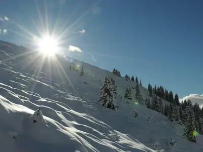 Traumtag