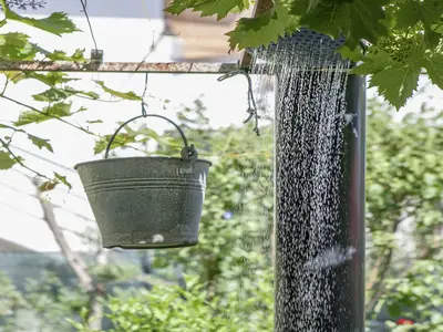 GardenSummer