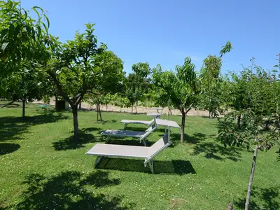 ViewSummer
