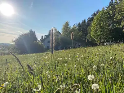 Wiese hinterm Haus