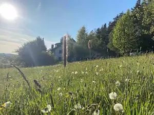 Ferienwohnung für 4 Personen in Gefrees