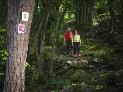 Premiumanderwege rund um Gehlweiler