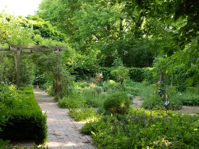 Der Kräutergarten