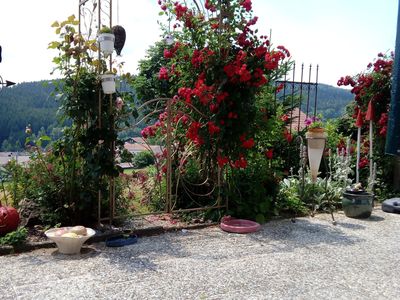 Ferienwohnung für 2 Personen (50 m²) in Geiersthal 7/10