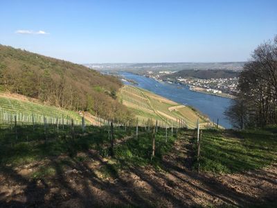 Ferienwohnung für 2 Personen (40 m²) in Geisenheim 4/10