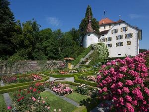 Schloss Heidegg in der Rosenblüte im Juni