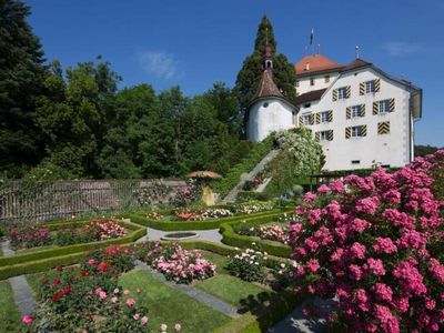 Schloss Heidegg in der Rosenblüte im Juni