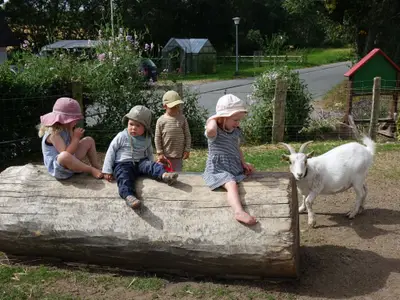 Baumstamm im Ziegengehege