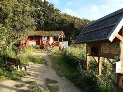 Ferienwohnung für 5 Personen (60 m²) in Gelting 8/10