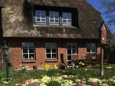Ferienwohnung für 5 Personen (75 m²) in Gelting 4/10