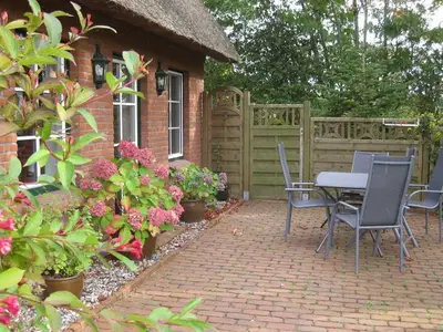 Ferienwohnung für 5 Personen (75 m²) in Gelting 5/10