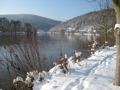 Mainufer Winter