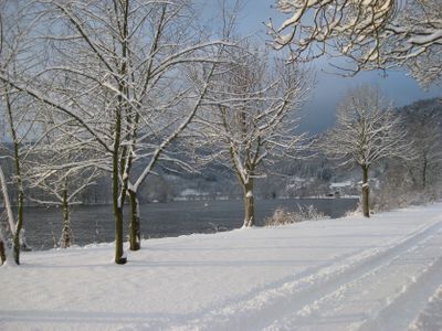 Mainradweg Winter