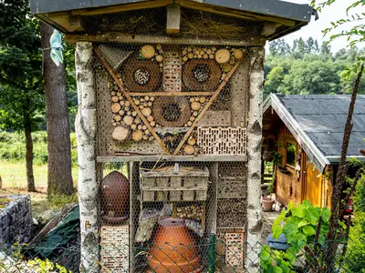 Insektenhotel