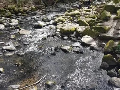 Ein Bachlauf in der Holzbachschlucht
