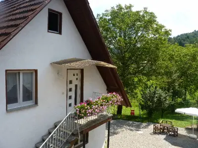 Ferienwohnung für 4 Personen (60 m²) in Gengenbach 7/10