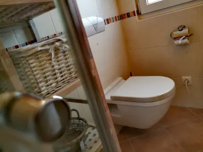 Ferienwohnung für 4 Personen (50 m²) in Gengenbach 5/10