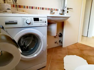 Ferienwohnung für 4 Personen (50 m²) in Gengenbach 6/10
