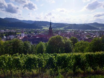 Gengenbach von oben