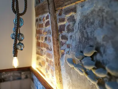 Ferienwohnung für 4 Personen (45 m²) in Gengenbach 10/10