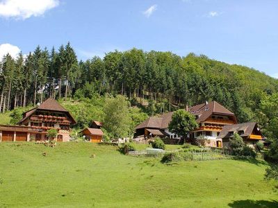 Ferienwohnung für 4 Personen (50 m²) in Gengenbach 2/10