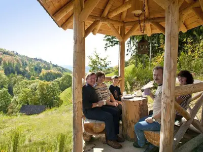 Ferienwohnung für 4 Personen (50 m²) in Gengenbach 6/10