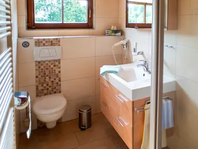 Ferienwohnung für 4 Personen (50 m²) in Gengenbach 9/10