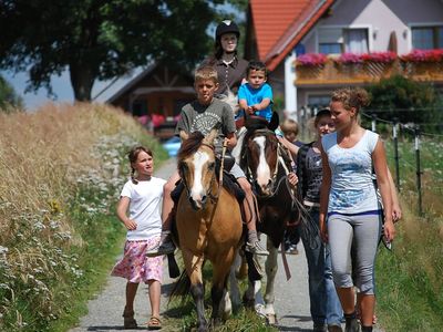 Spass beim Pony-Reiten