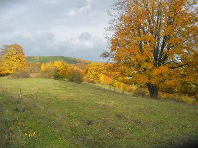 Ortsrand im Herbst