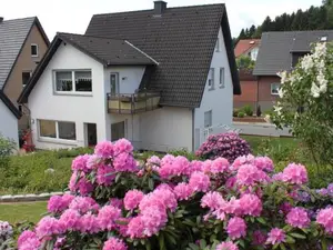 Ferienwohnung für 4 Personen (84 m²) in Georgsmarienhütte
