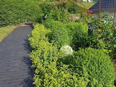 Weg im Garten