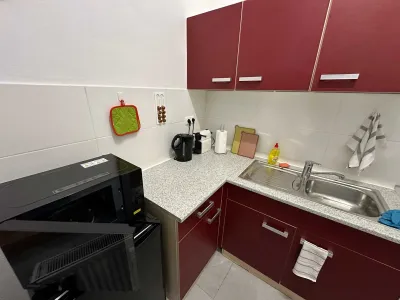 Ferienwohnung für 4 Personen (70 m²) in Gera 6/10