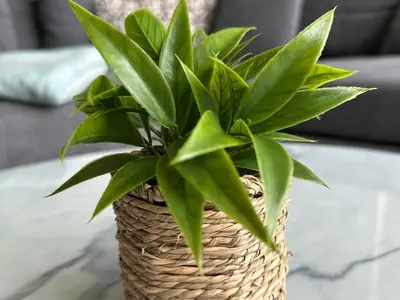 Ferienwohnung für 2 Personen (40 m²) in Gera 10/10