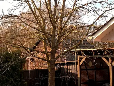 Ferienwohnung für 4 Personen (80 m²) in Bargfeld (Gerdau) 6/10