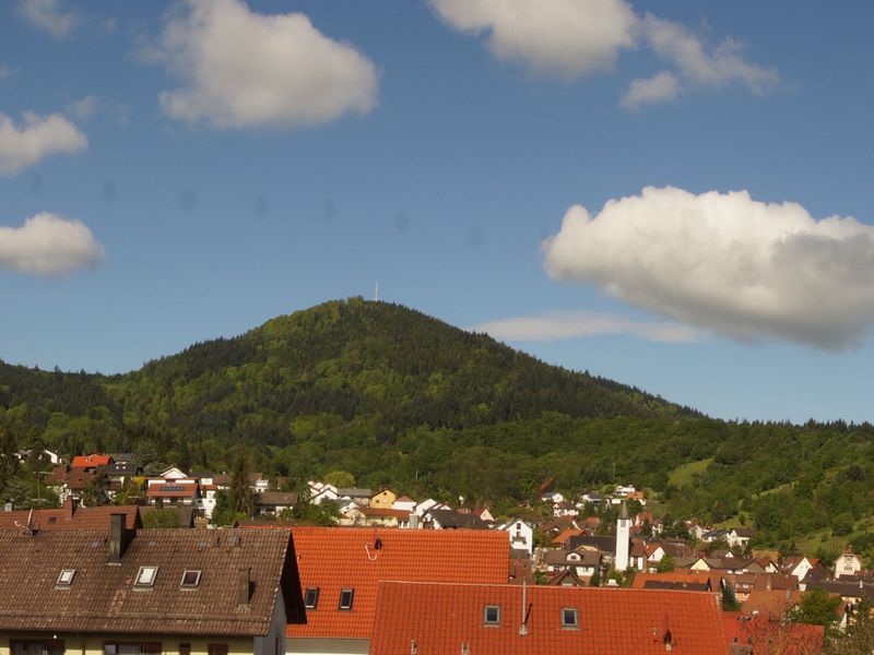 19188829-Ferienwohnung-5-Gernsbach-800x600-1