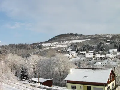 Ferienwohnung für 3 Personen (46 m²) in Gerolstein 6/10