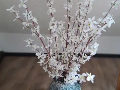 Ferienwohnung für 2 Personen (50 m²) in Gerolstein 3/10