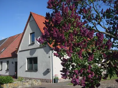 Ferienwohnung für 4 Personen (63 m²) in Gersdorf (Bad Doberan) 3/10