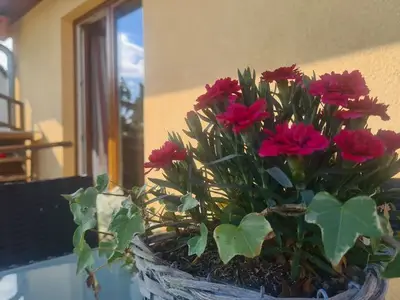 Ferienwohnung für 4 Personen (65 m²) in Gersdorf (Bad Doberan) 4/10