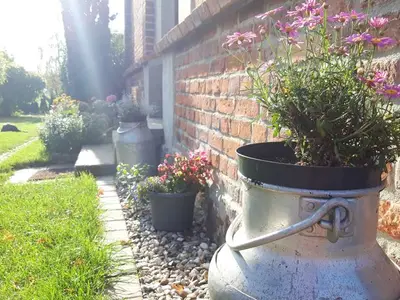 Ferienwohnung für 5 Personen (60 m²) in Gersdorf (Bad Doberan) 9/10