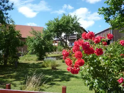 Ferienwohnung für 2 Personen (65 m²) in Gersfeld 5/10